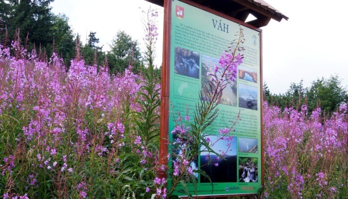 18.8.2012 N�zke Tatry: Kr�ova ho�a